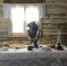 news_2018-03-29_022 - Газета Серовский рабочий