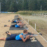 Стрелять без промаха. В Серове прошло первенство по биатлону - Газета Серовский рабочий