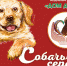 Собачье сердце. Бима, Сонечка, котенок и щенок - Газета Серовский рабочий