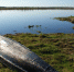 Экскурсия в прошлое - Газета Сталь