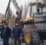 Все дороги ведут в лес - Газета Серовский рабочий