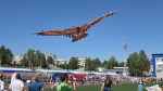 Полетели!