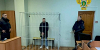 Новости из зала суда: убийство щенка и разбитые витрины - Газета Серовский рабочий
