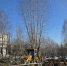Создаем зону тишины и уюта - Газета Серовский рабочий
